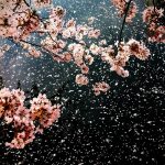 SzerelemCsütörtök